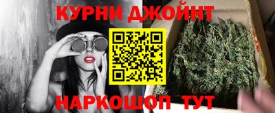 сатива Моздок