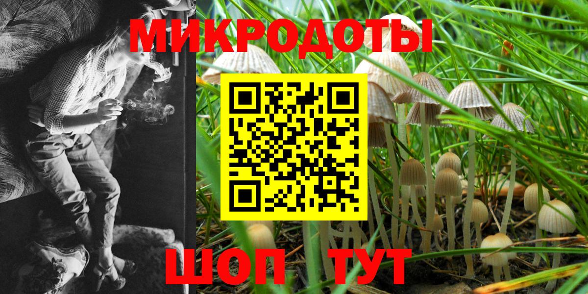 где купить наркоту  Вход с VPN  Великий Новгород  Псилоцибиновые грибы MAGIC MUSHROOMS  Галлюциногенные грибы мухоморы 